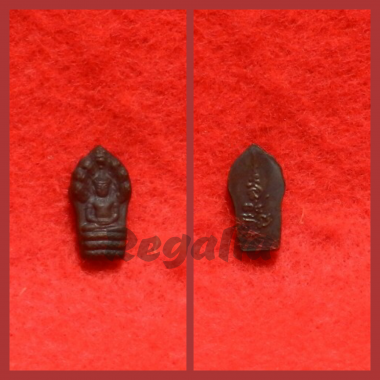 Naplok (minature nerwa) 2539